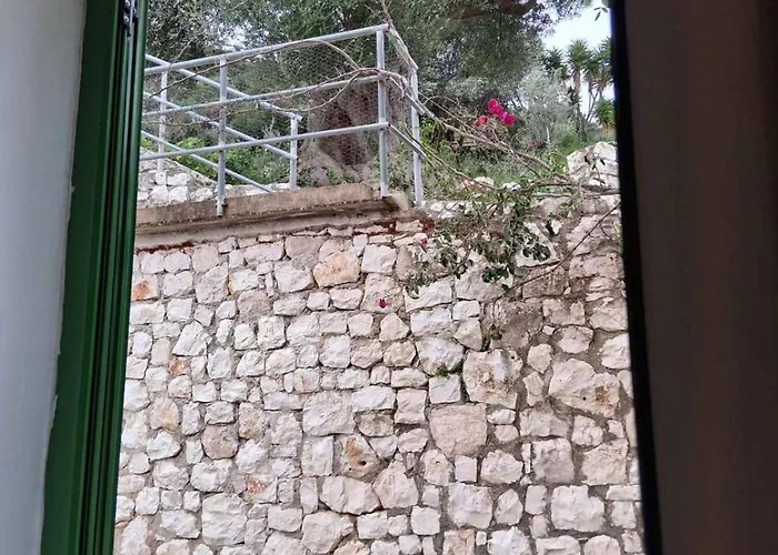 Makris House-giasemi