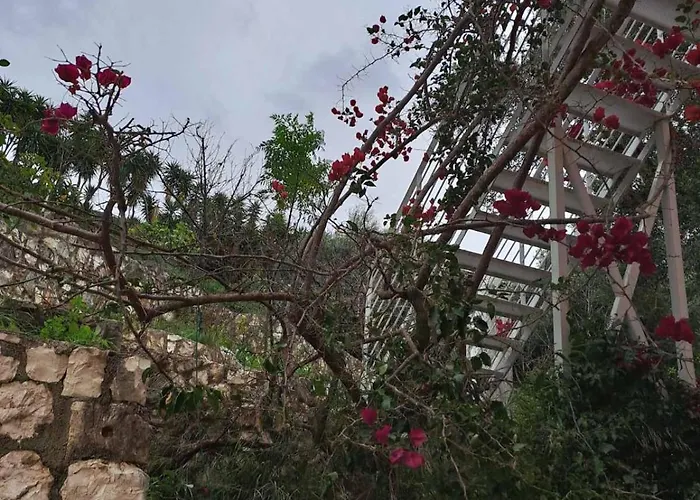 Διαμέρισμα Makris House-giasemi