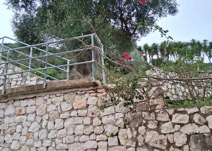 Makris House-giasemi *