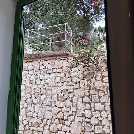 Makris House-giasemi