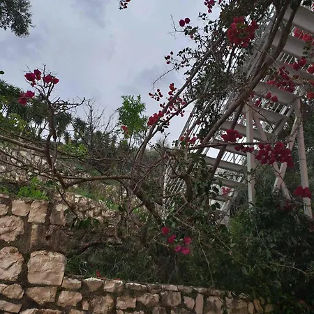 Lägenhet Makris House-giasemi