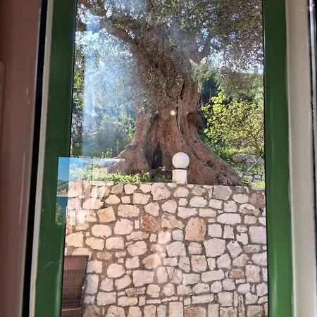 Makris House-giasemi * Agia Efimia