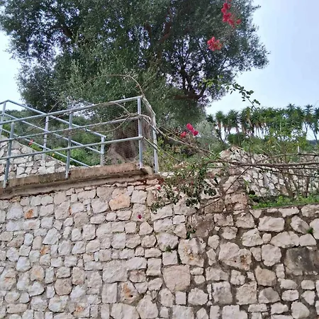 Makris House-giasemi *