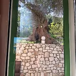 Makris House-giasemi * Agia Efimia
